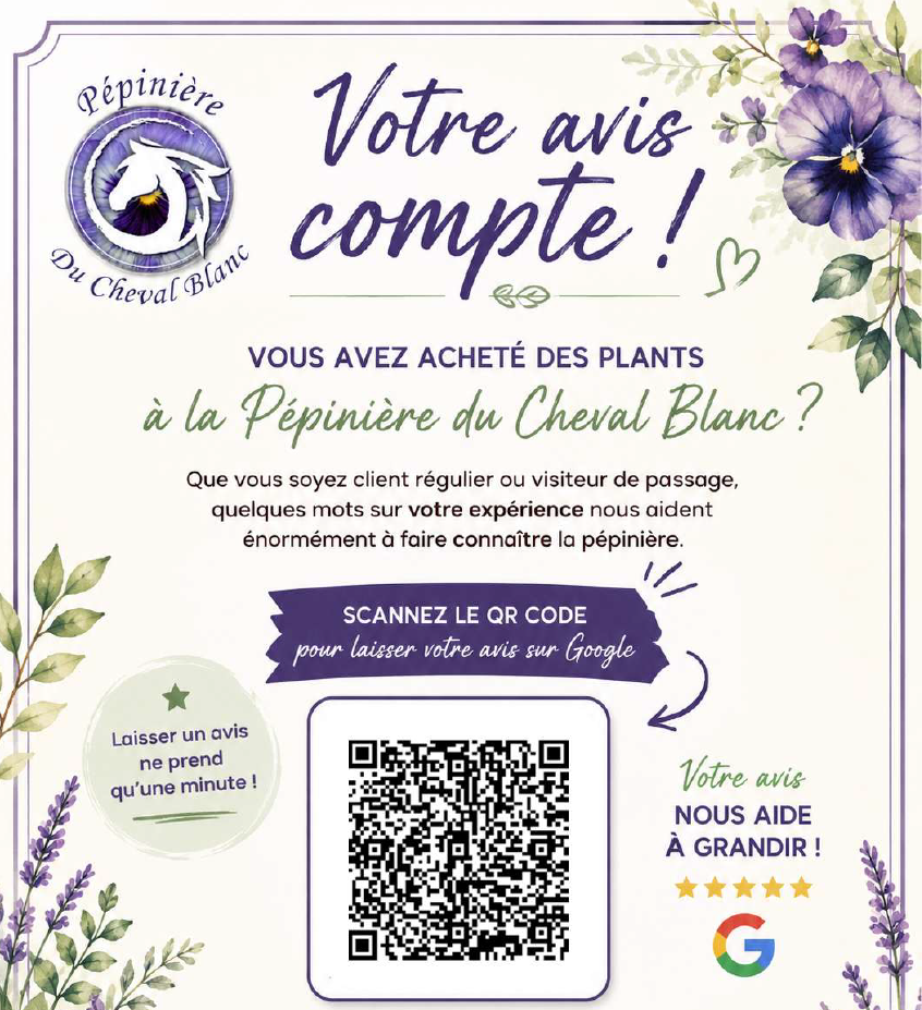 capture d'écran 2026 06 08 110917