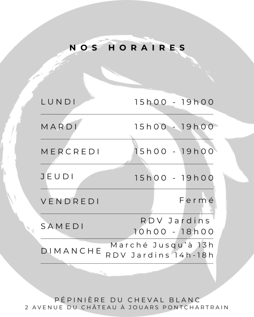 copie de modèle horaires (3)