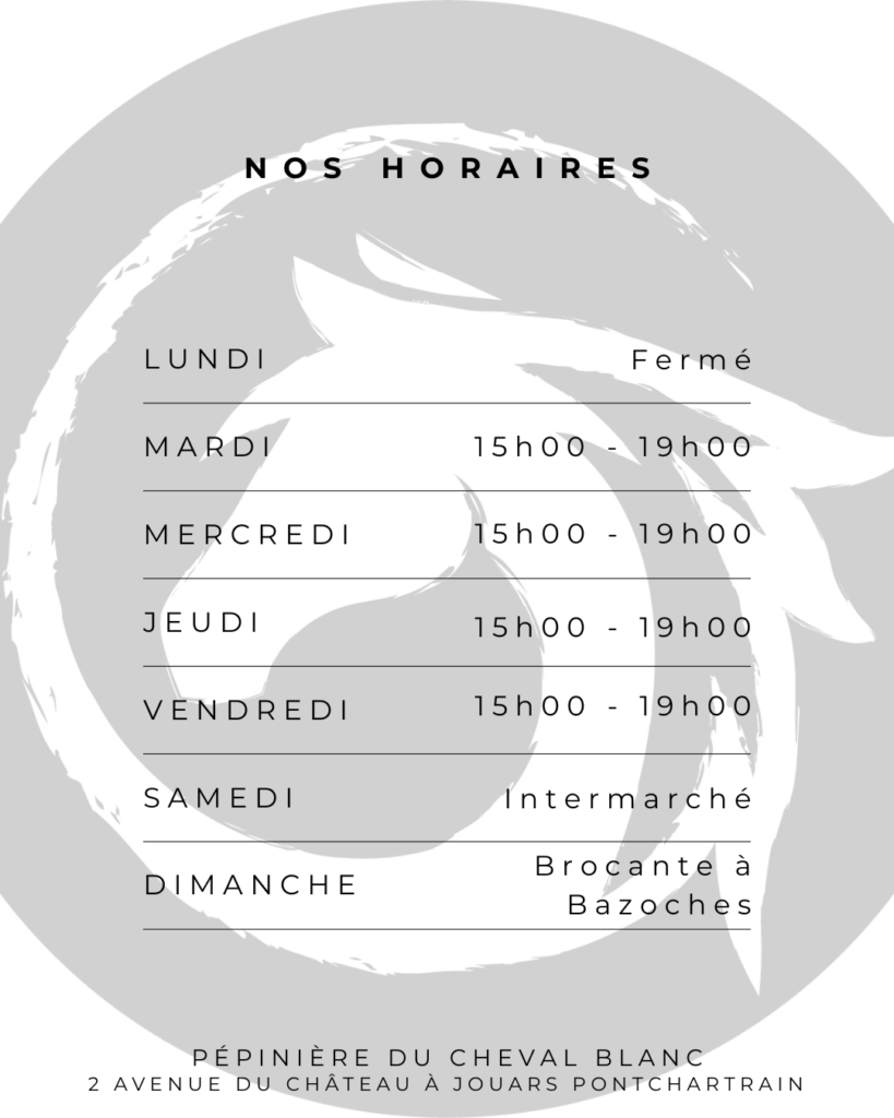 copie de modèle horaires (5)