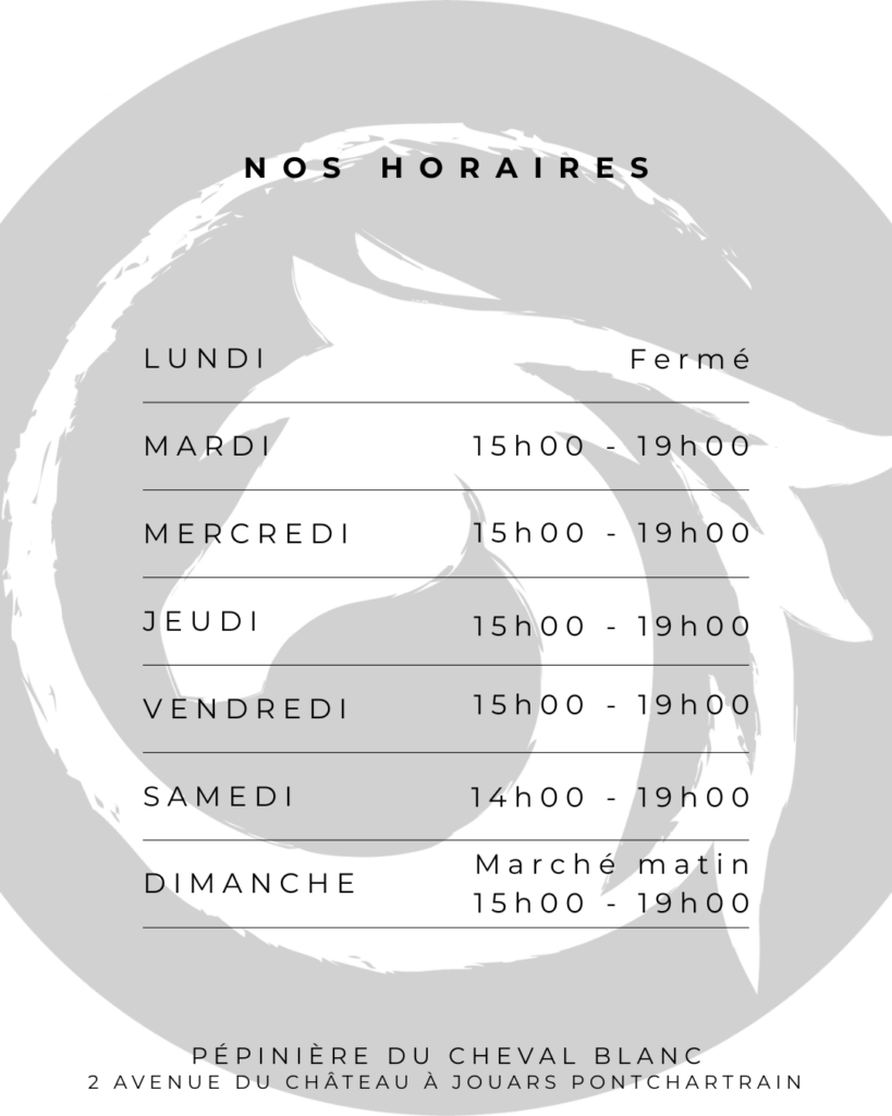 copie de modèle horaires (6)