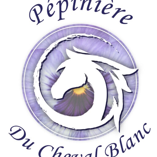 Accueil logo vf reduit