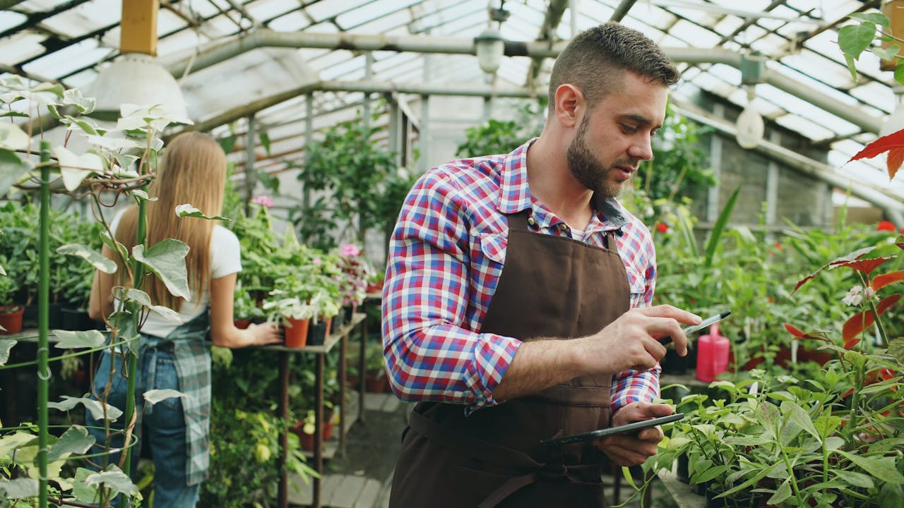 Two gardeners tending to plants inside a lush, vibrant greenhouse.